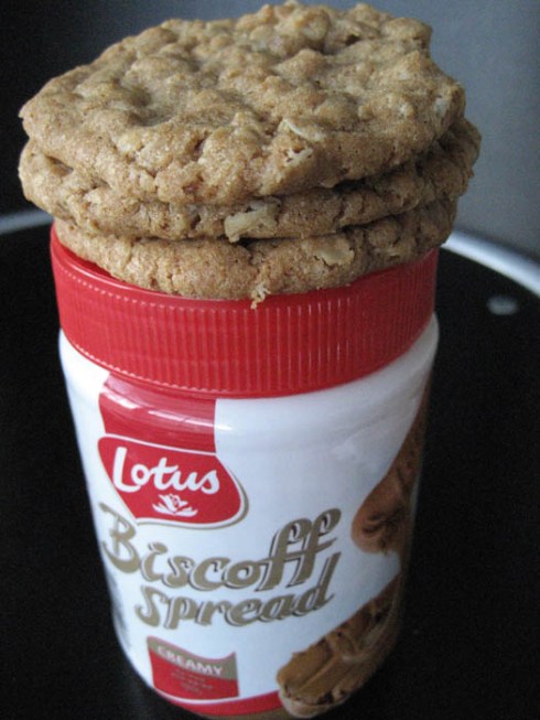 Biscoff Oatmeal Cookies | Adventures of a Hungry Redhead