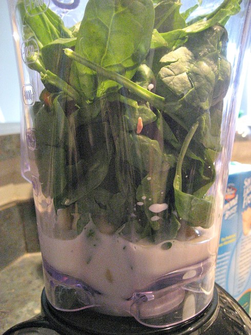 Green Monster Smoothie | Adventures of a Hungry Redhead