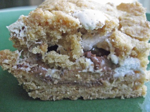 Peanut Butter Cup S'More Bars | Adventures of a Hungry Redhead